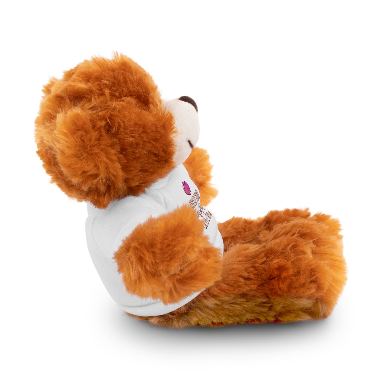 With You Every Step of the Way - Sympathy Stuffed Animals with Tee