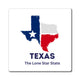 Texas Vinyl Magnet