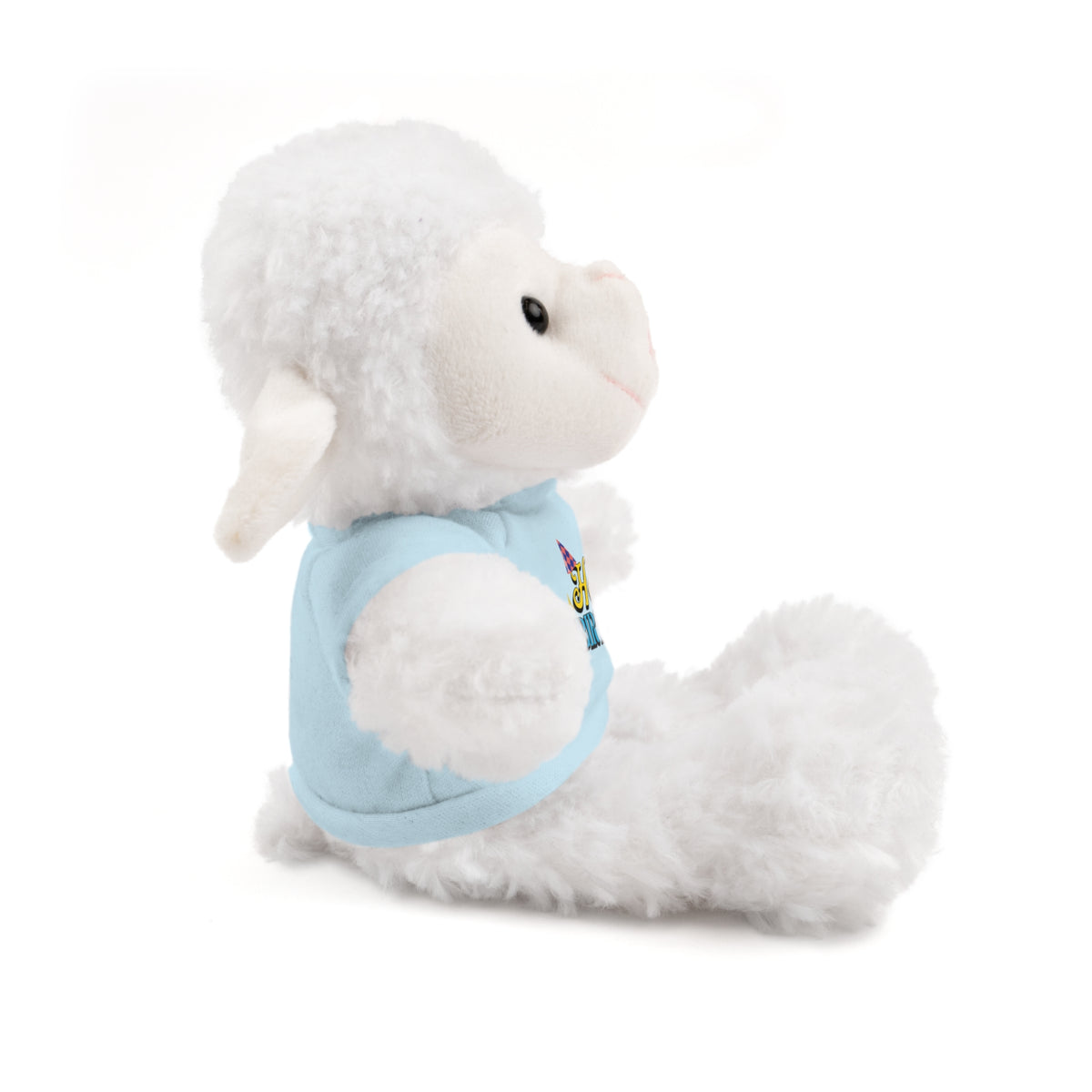 Happy Birthday -  Stuffed Animals with Tee