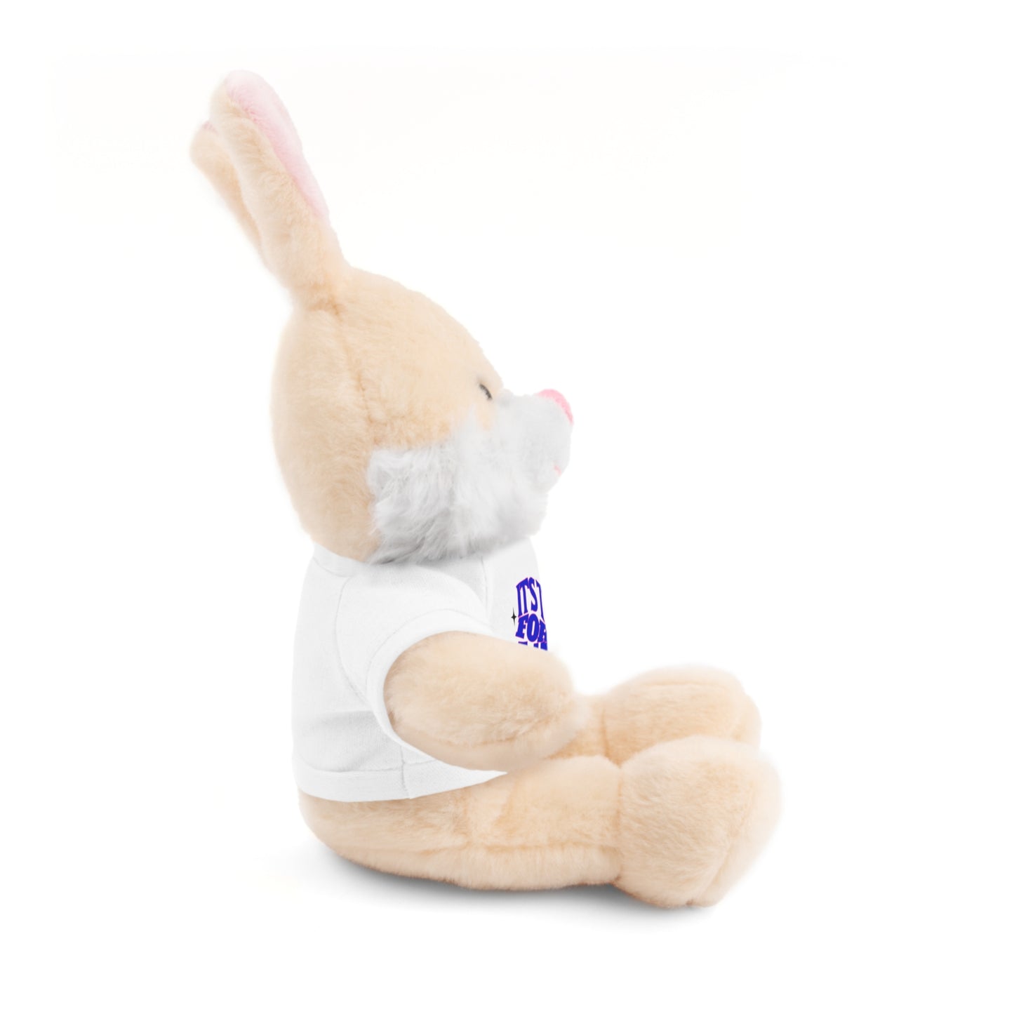 It's Time For A Hug - Sympathy Stuffed Animals with Tee