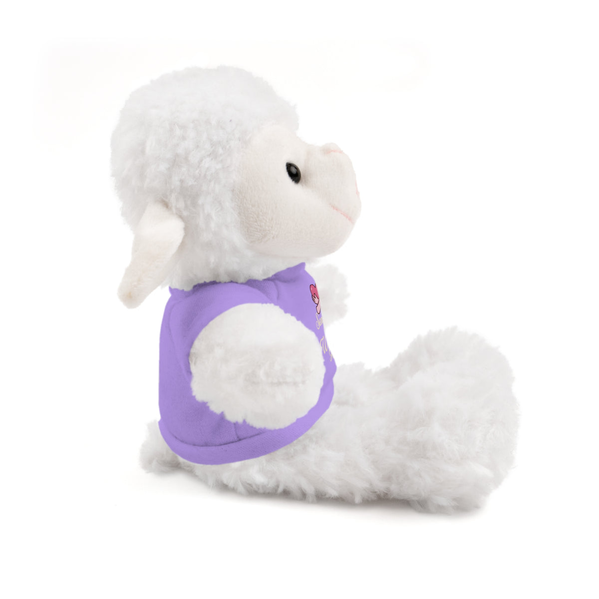 Sending My Warmest Hugs - Sympathy Stuffed Animals with Tee