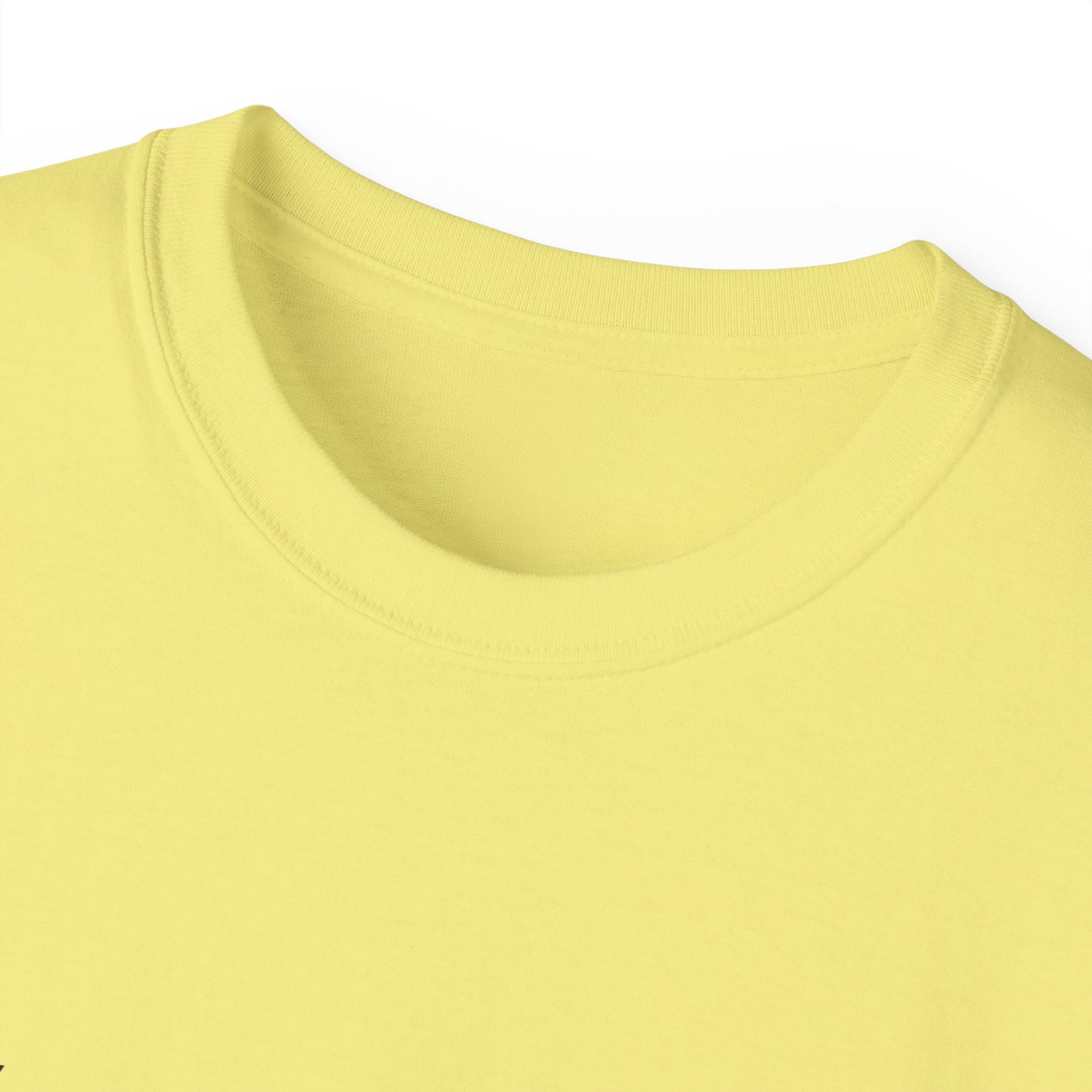 Delaware Unisex Ultra Cotton Tee