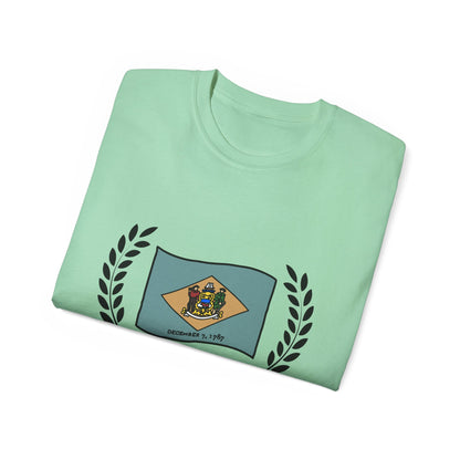 Delaware Unisex Ultra Cotton Tee