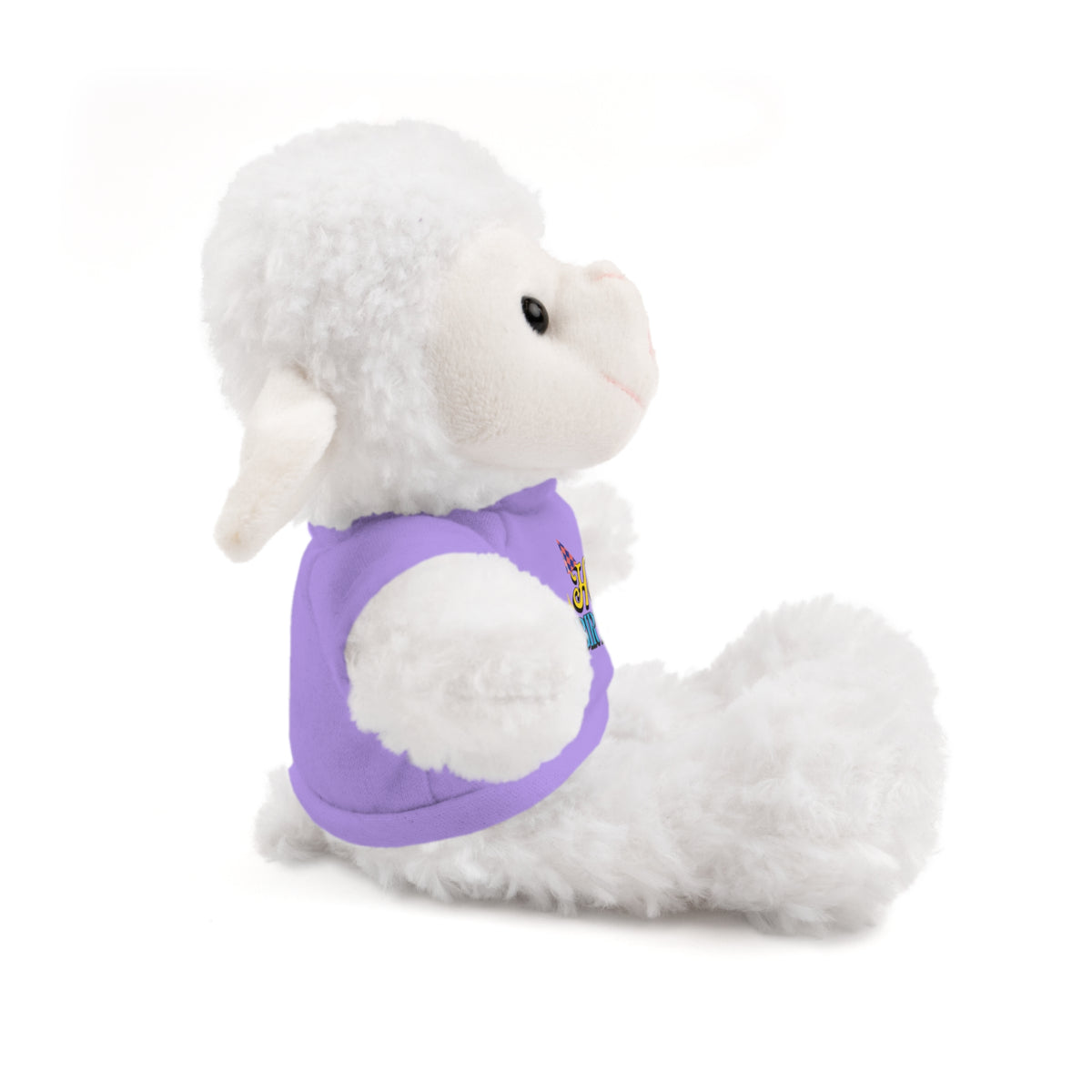 Happy Birthday -  Stuffed Animals with Tee