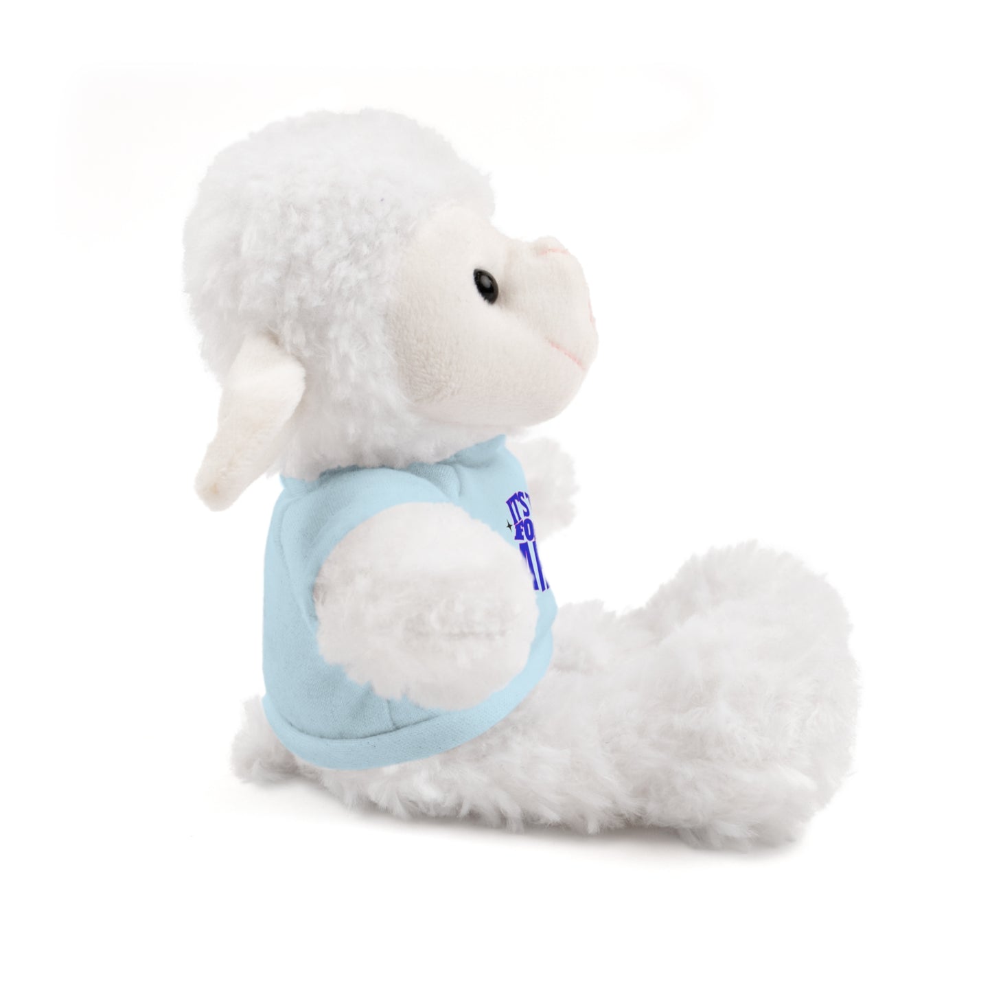 It's Time For A Hug - Sympathy Stuffed Animals with Tee