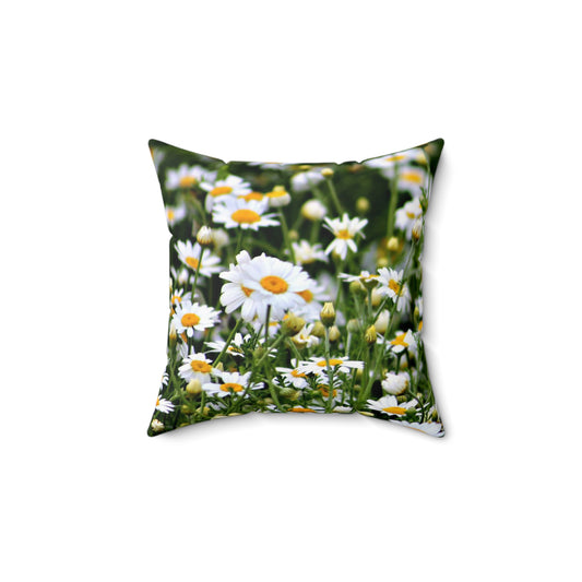 Square Daisy Pillow