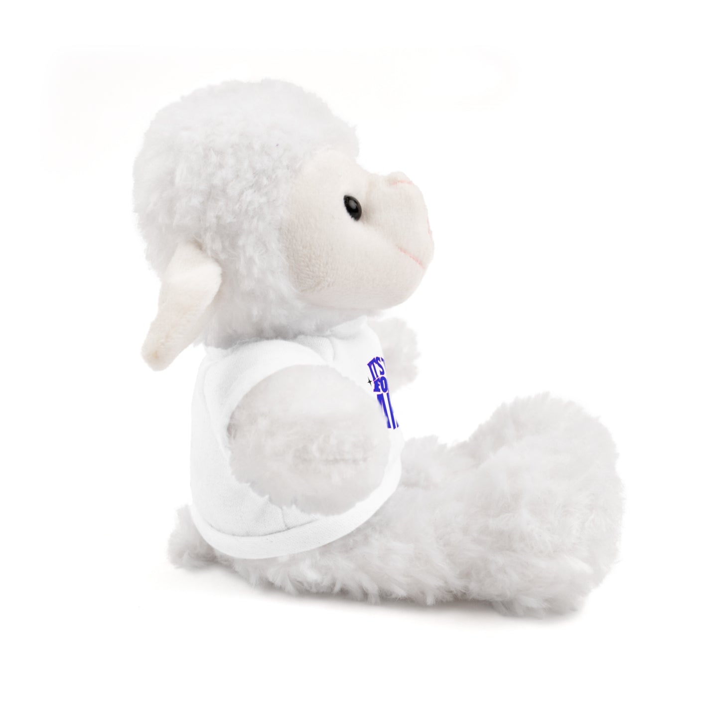 It's Time For A Hug - Sympathy Stuffed Animals with Tee