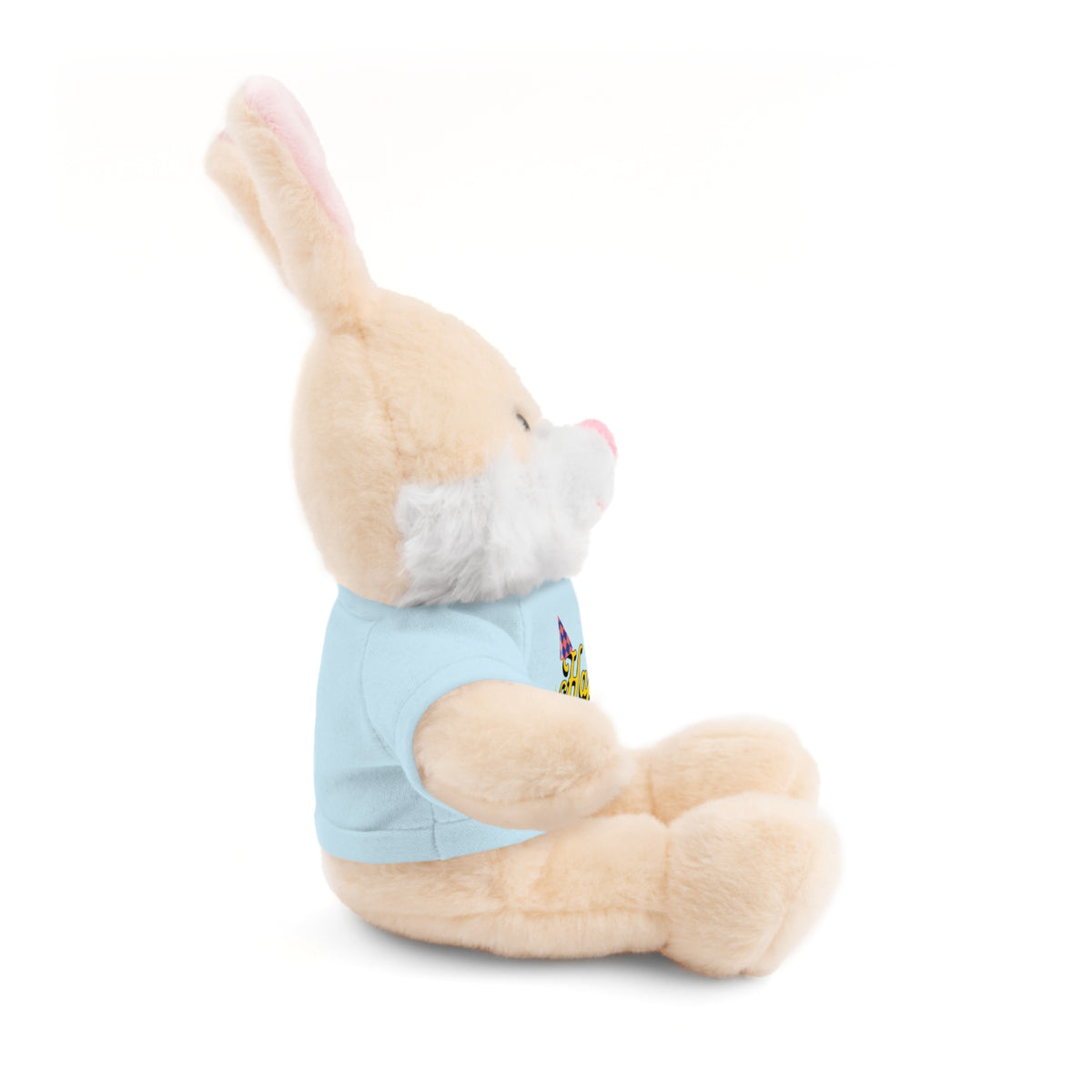 Happy Birthday -  Stuffed Animals with Tee