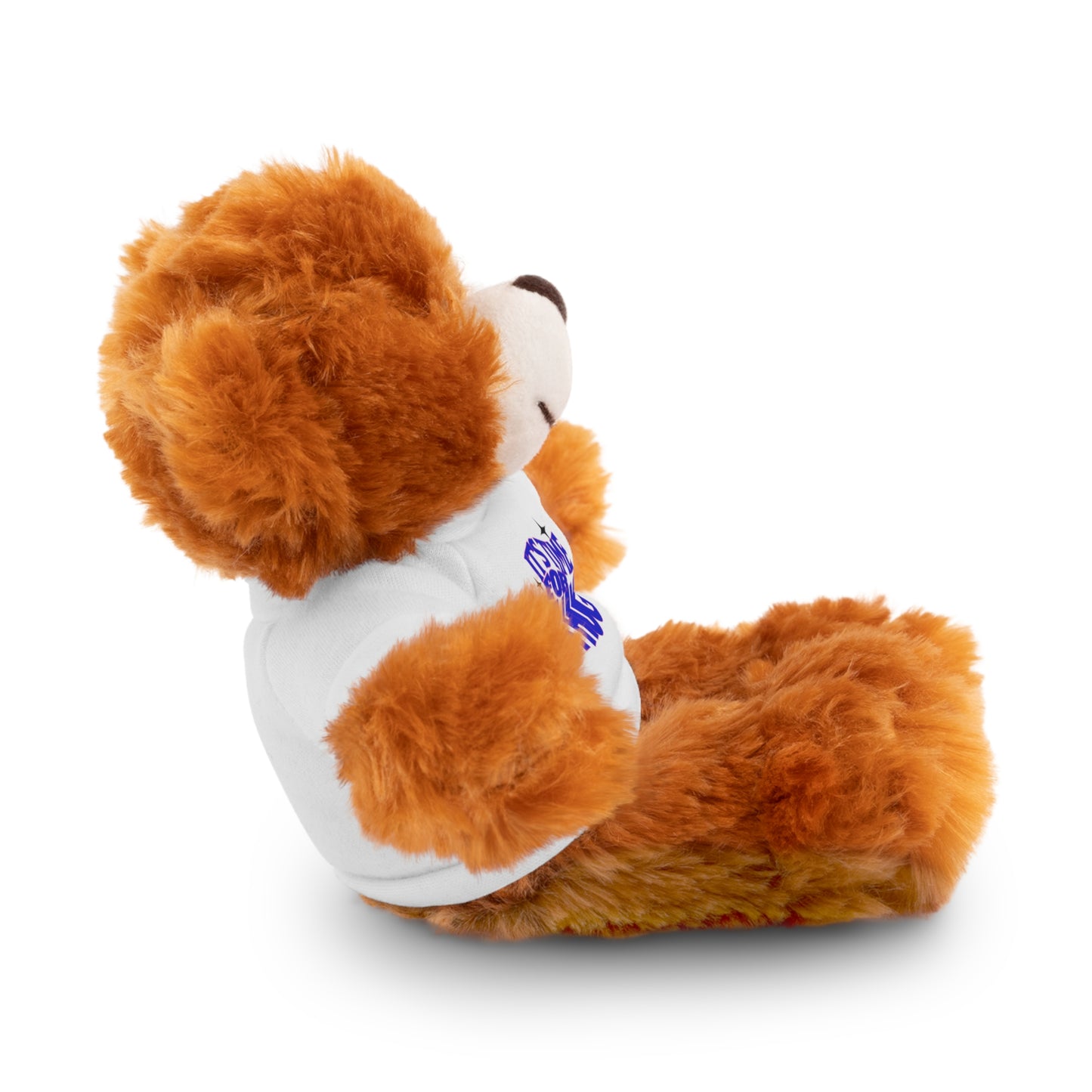 It's Time For A Hug - Sympathy Stuffed Animals with Tee